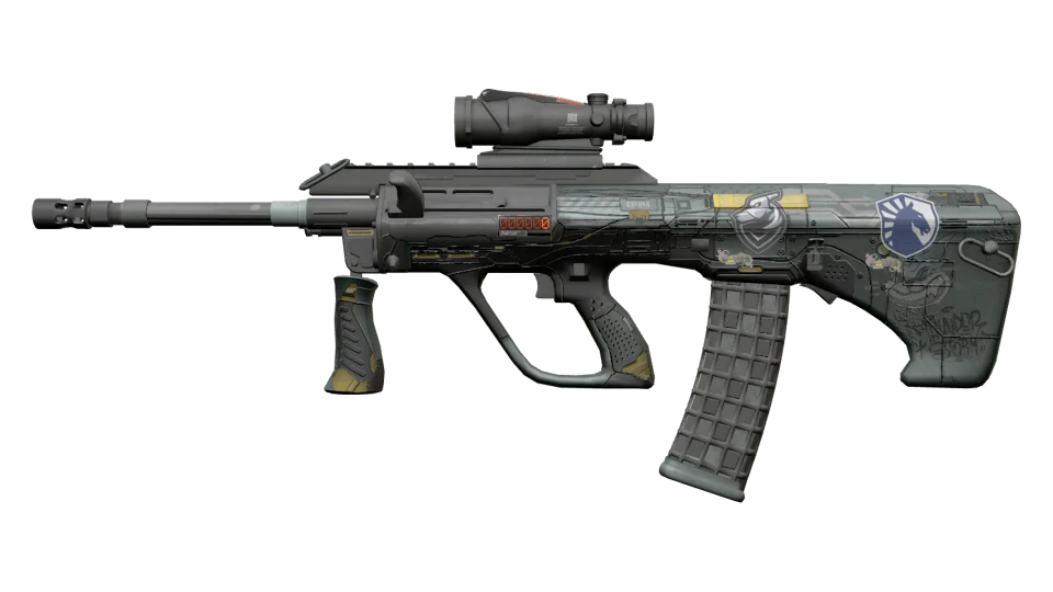 StatTrak™ AUG | Tom Cat (Well-Worn)