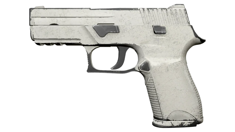 P250 | Whiteout (Field-Tested)
