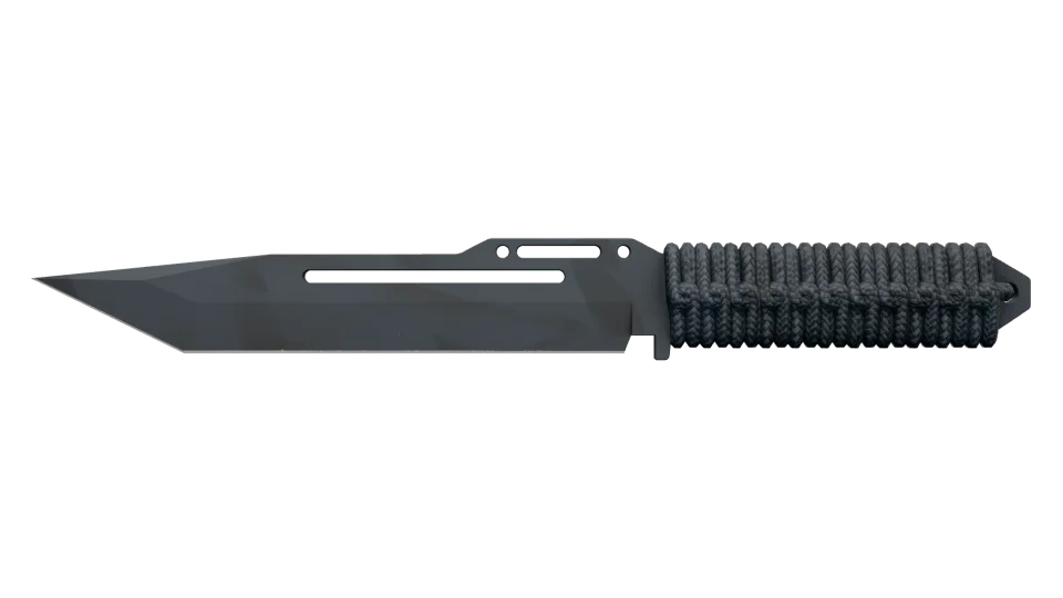 ★ Paracord Knife | Night Stripe (Factory New)