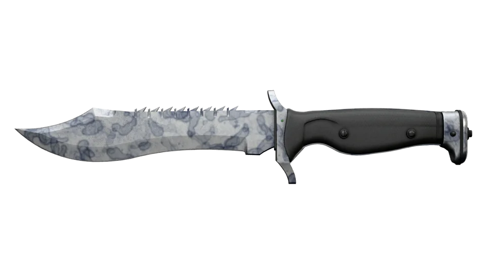 ★ Bowie Knife | Stained (Minimal Wear) thumbnail