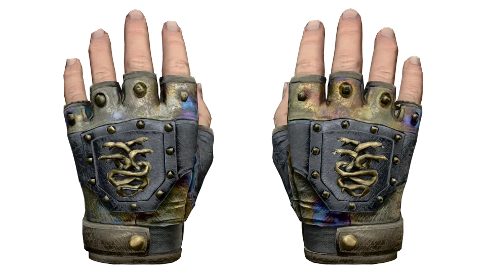 ★ Hydra Gloves | Case Hardened (Battle-Scarred) thumbnail