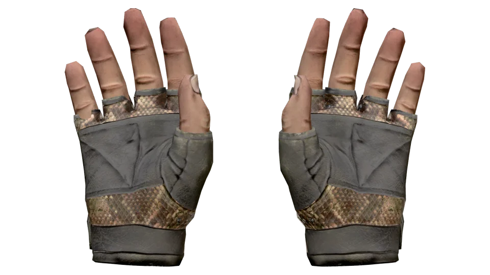 ★ Bloodhound Gloves | Snakebite (Battle-Scarred) thumbnail