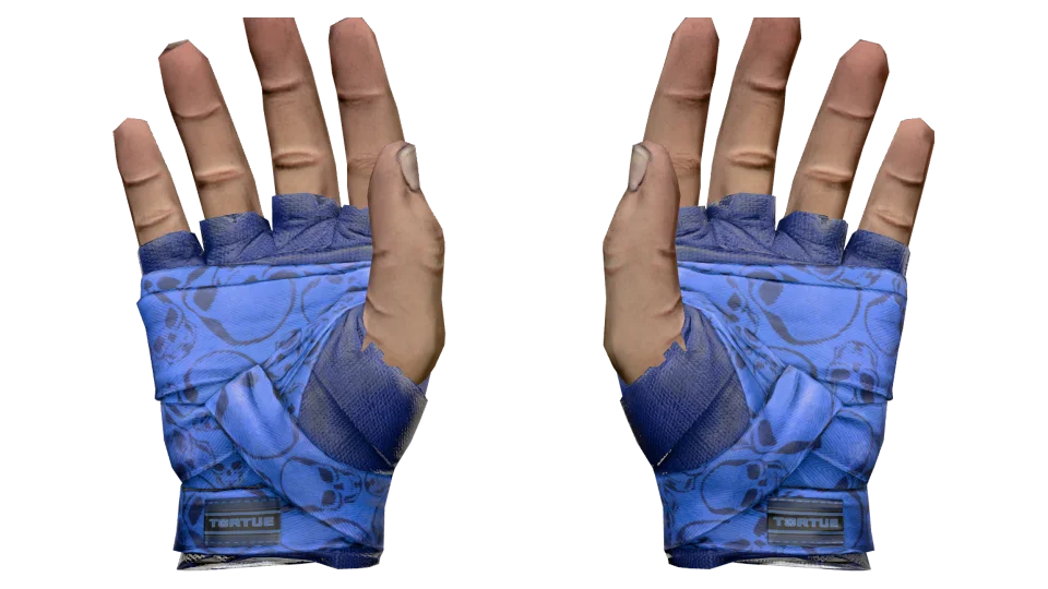 ★ Hand Wraps | Cobalt Skulls (Field-Tested) thumbnail