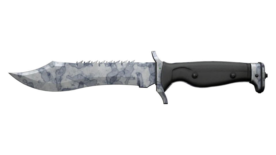 ★ Bowie Knife | Stained (Minimal Wear) thumbnail