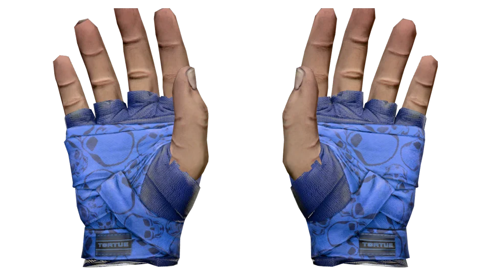 ★ Hand Wraps | Cobalt Skulls (Field-Tested) thumbnail