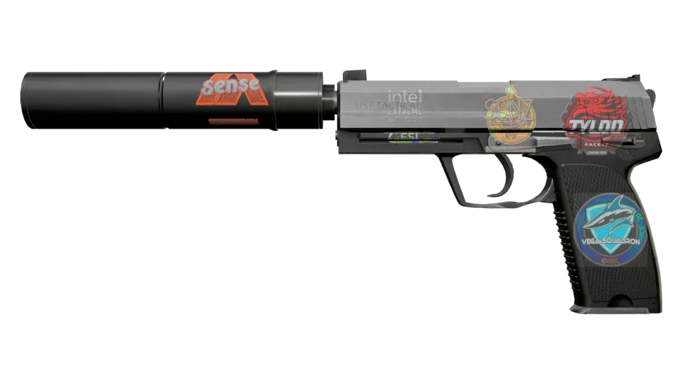 Vorschau von USP-S | Stainless (Factory New)