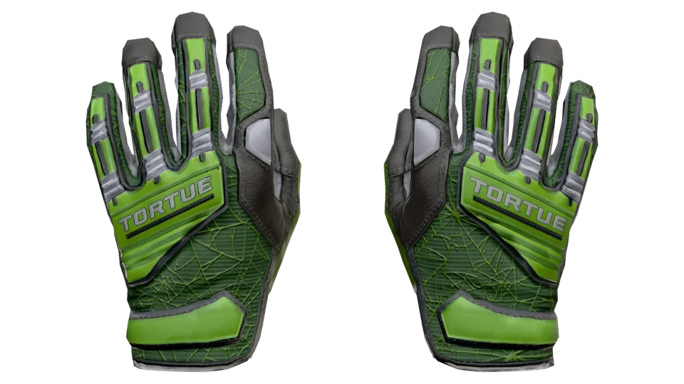 ★ Specialist Gloves | Emerald Web (Factory New) thumbnail