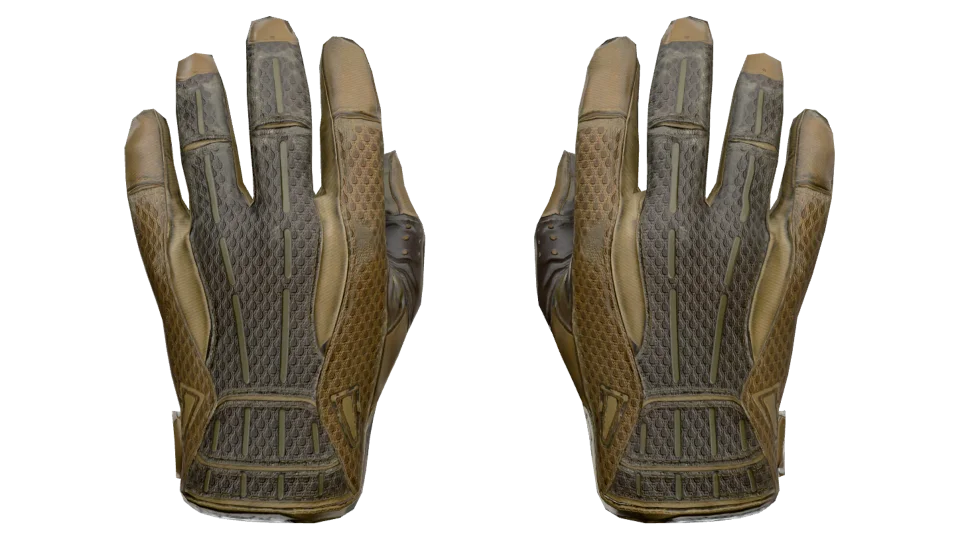 ★ Sport Gloves | Arid (Well-Worn)