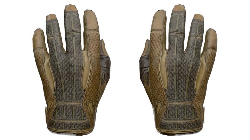 ★ Sport Gloves | Arid (Well-Worn) 缩略图