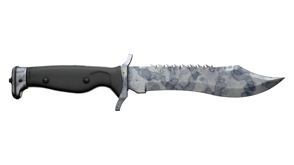 ★ Bowie Knife | Stained (Minimal Wear) thumbnail