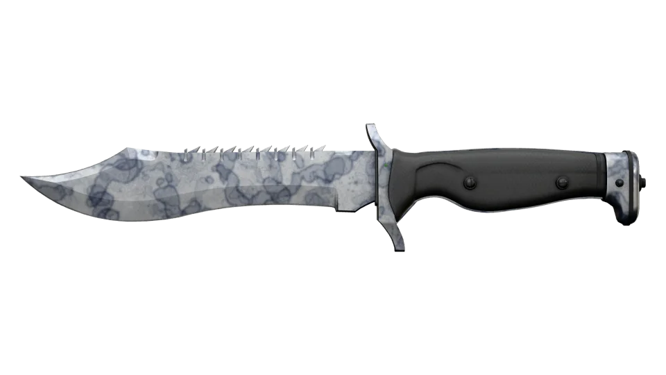★ Bowie Knife | Stained (Minimal Wear) thumbnail
