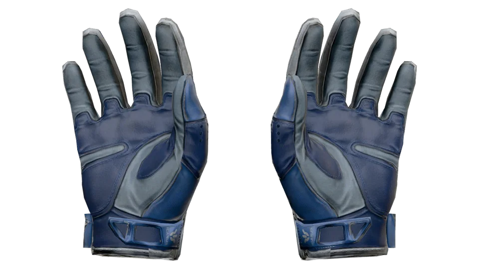★ Sport Gloves | Amphibious (Field-Tested) thumbnail