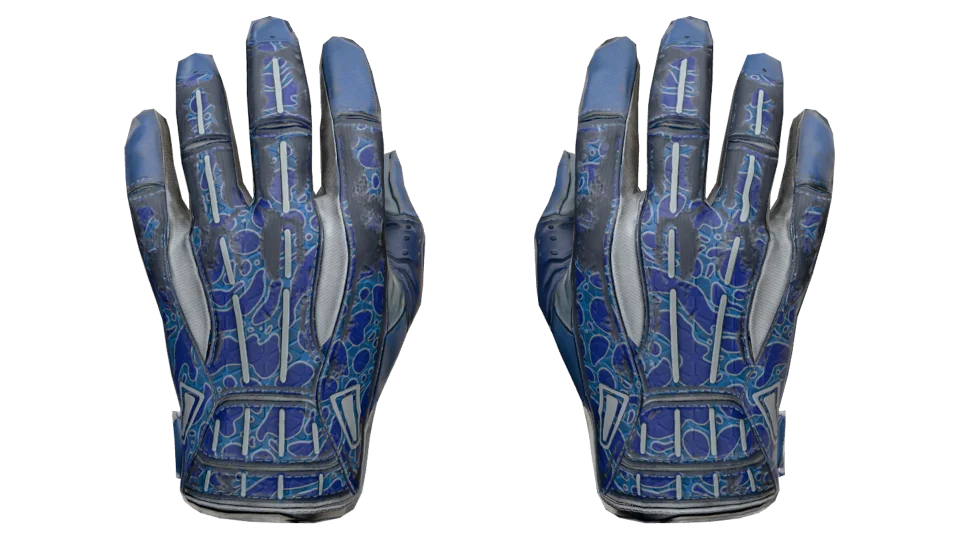 ★ Sport Gloves | Amphibious (Field-Tested)