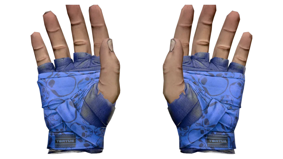 ★ Hand Wraps | Cobalt Skulls (Well-Worn) thumbnail