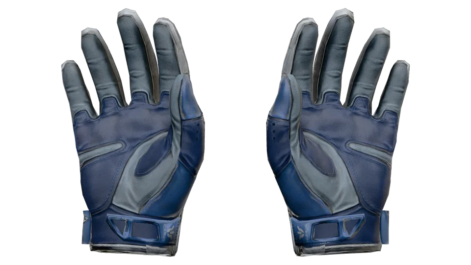 ★ Sport Gloves | Amphibious (Field-Tested) thumbnail