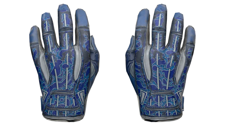 ★ Sport Gloves | Amphibious (Field-Tested)
