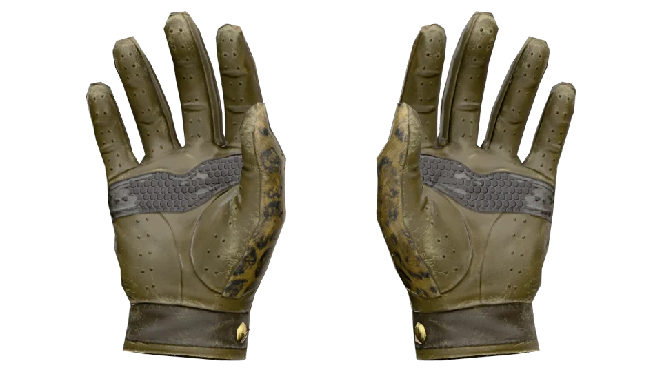 ★ Driver Gloves | Queen Jaguar (Well-Worn) thumbnail