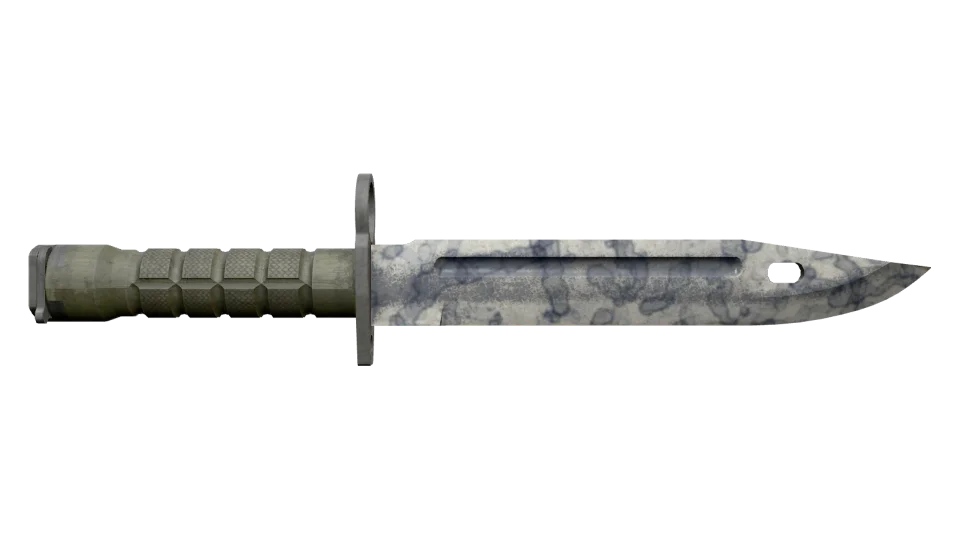 ★ Bayonet | Stained (Well-Worn) thumbnail