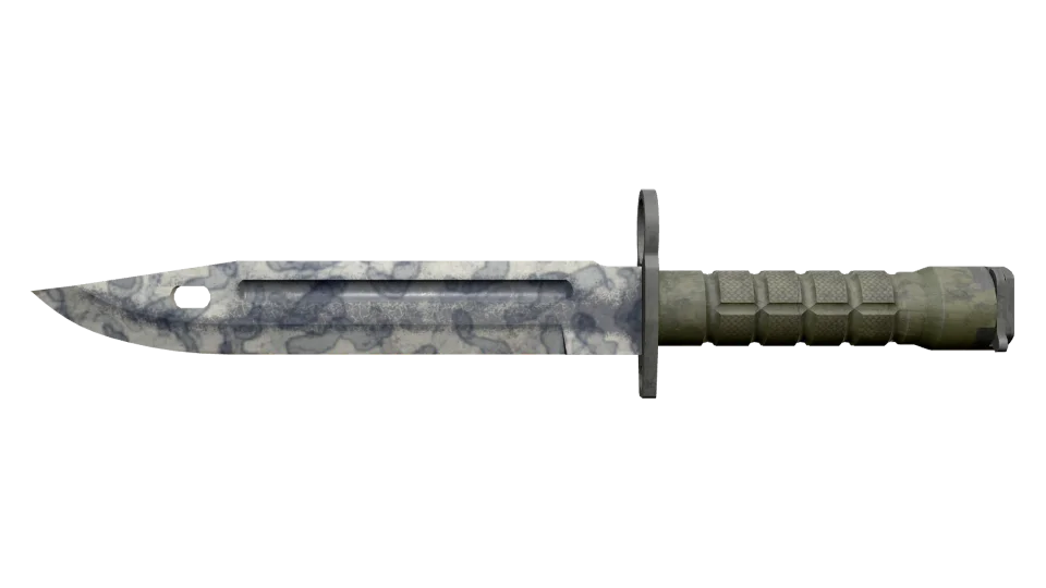 ★ Bayonet | Stained (Well-Worn)