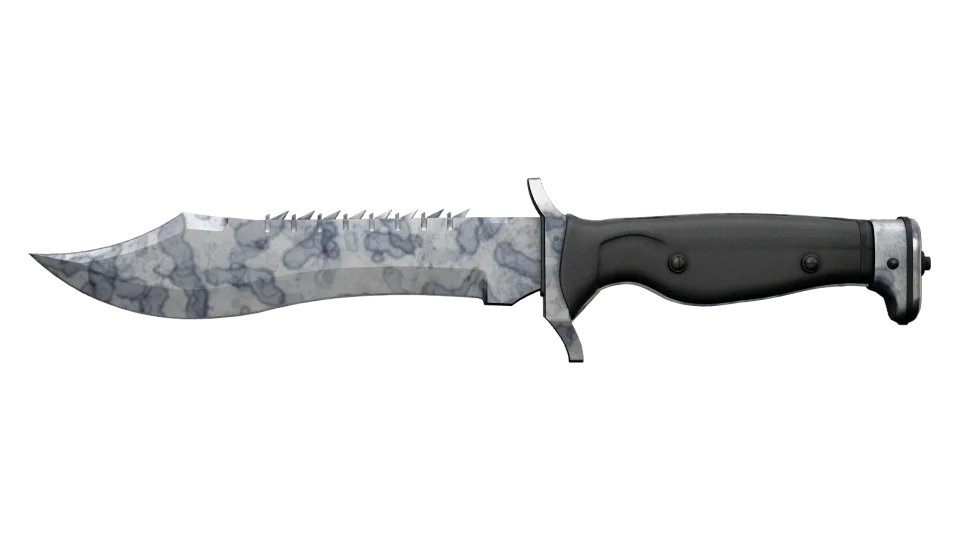 ★ Bowie Knife | Stained (Minimal Wear) thumbnail