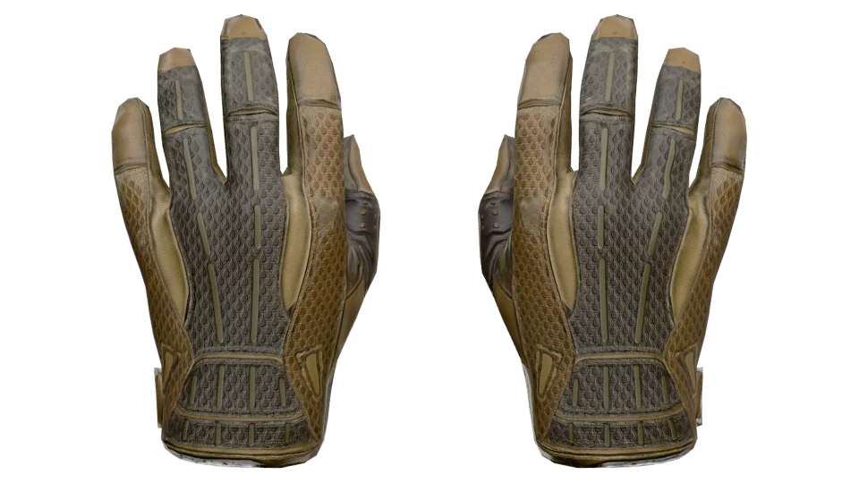 ★ Sport Gloves | Arid (Well-Worn)