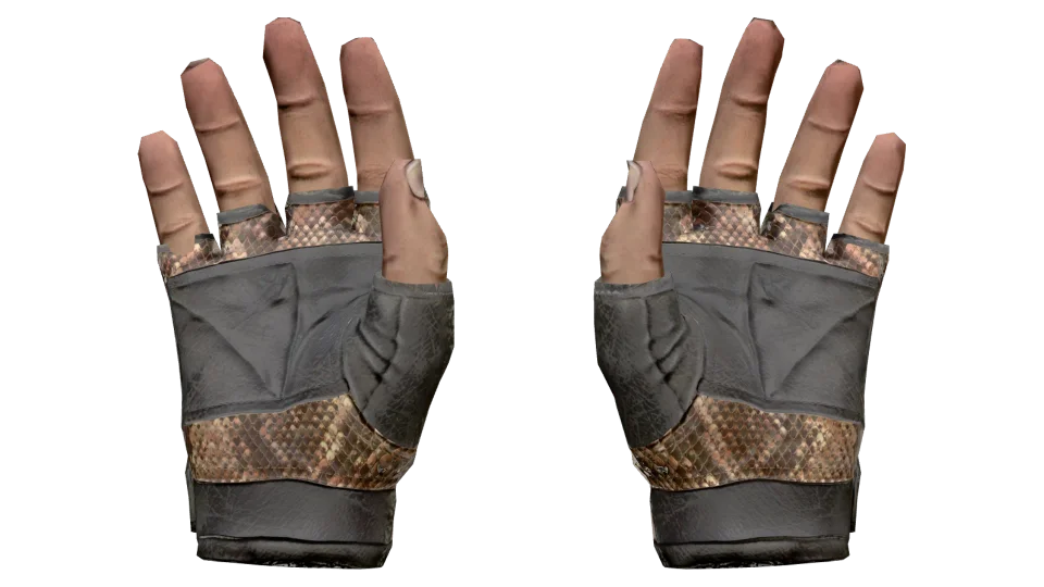 ★ Bloodhound Gloves | Snakebite (Field-Tested) thumbnail