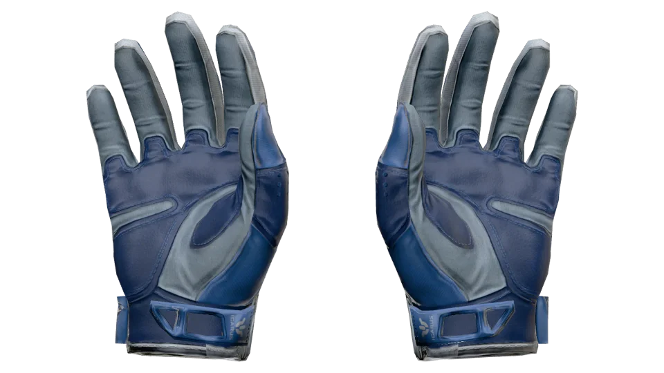 Vorschau von ★ Sport Gloves | Amphibious (Factory New)