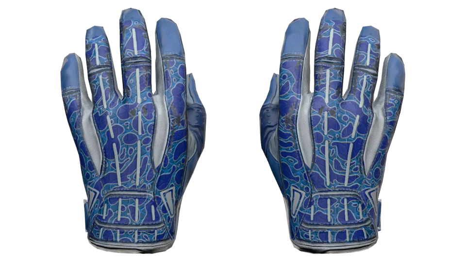★ Sport Gloves | Amphibious (Factory New)