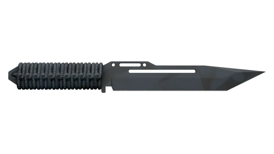 ★ Paracord Knife | Night Stripe (Factory New) thumbnail