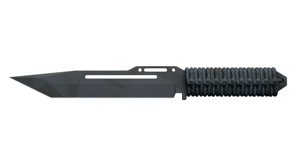 ★ Paracord Knife | Night Stripe (Factory New)
