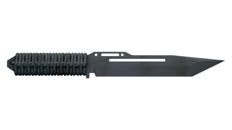 ★ Paracord Knife | Night Stripe (Factory New) thumbnail