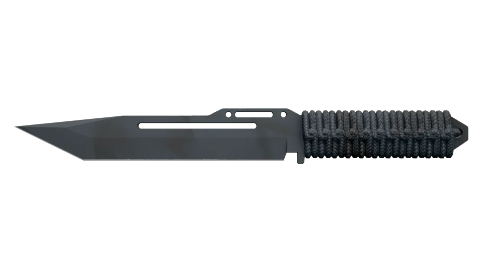 ★ Paracord Knife | Night Stripe (Factory New)