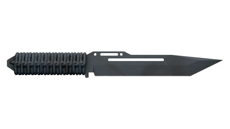 ★ Paracord Knife | Night Stripe (Factory New) thumbnail