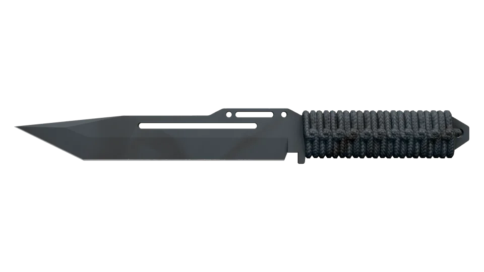 ★ Paracord Knife | Night Stripe (Factory New)