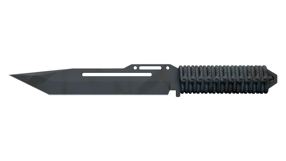 ★ Paracord Knife | Night Stripe (Factory New)