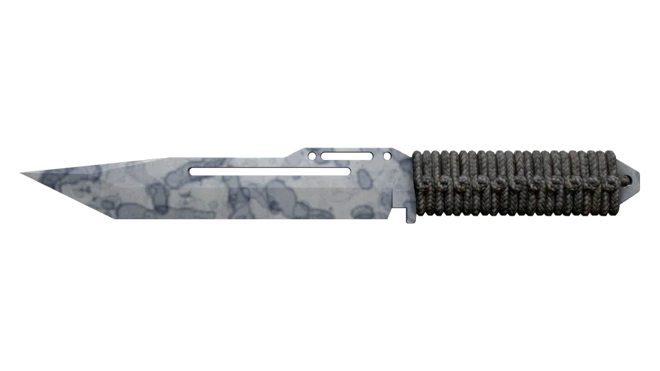 ★ StatTrak™ Paracord Knife | Stained (Factory New)