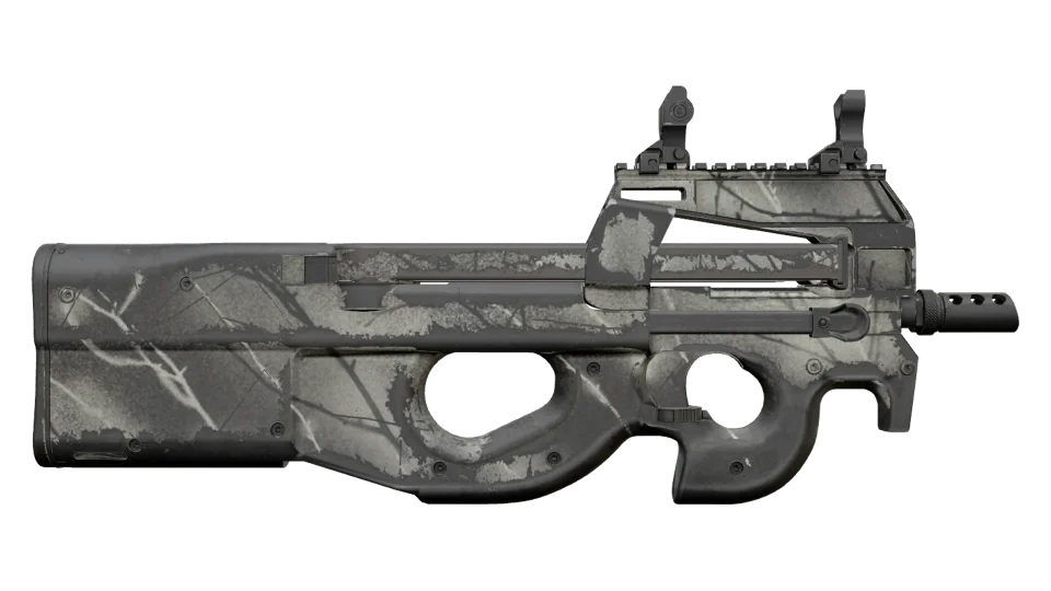 P90 | Ash Wood (Well-Worn) thumbnail