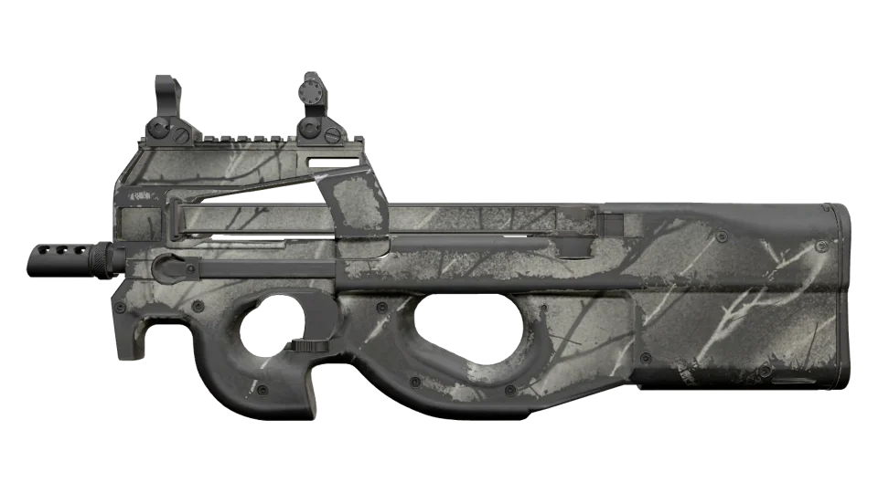 P90 | Ash Wood (Well-Worn)