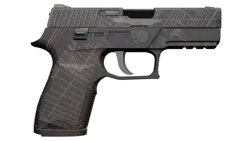P250 | Facility Draft (Well-Worn) thumbnail