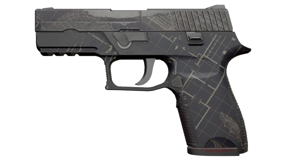 P250 | Facility Draft (Well-Worn)