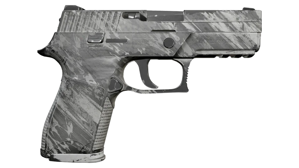P250 | Sleet (Field-Tested) 缩略图