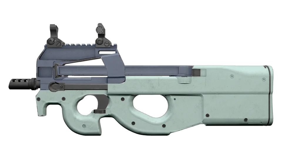 P90 | Storm (Field-Tested) thumbnail