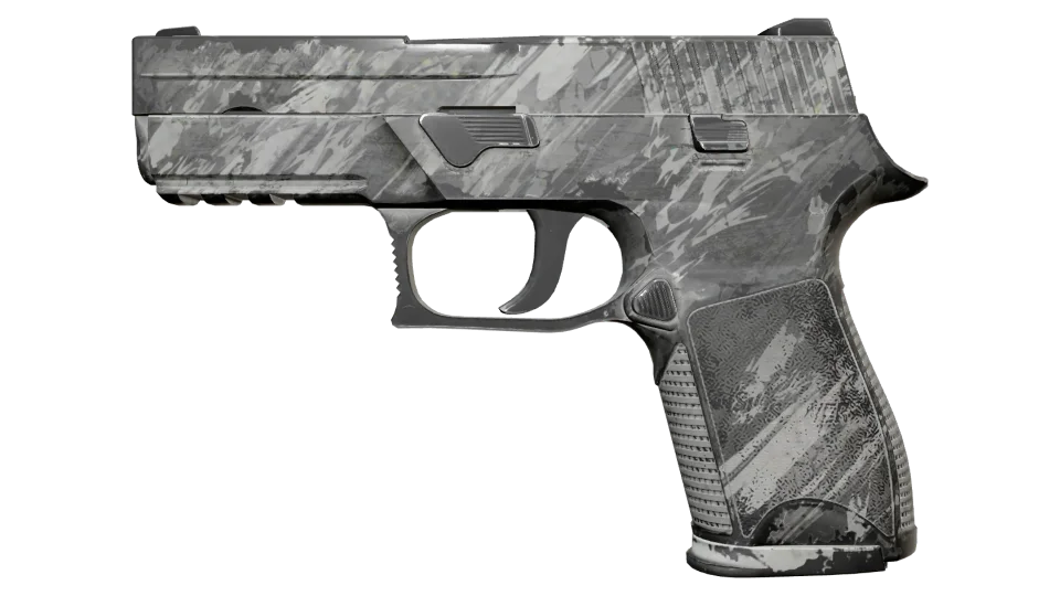 P250 | Sleet (Field-Tested)
