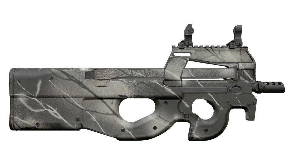 P90 | Ash Wood (Field-Tested) thumbnail