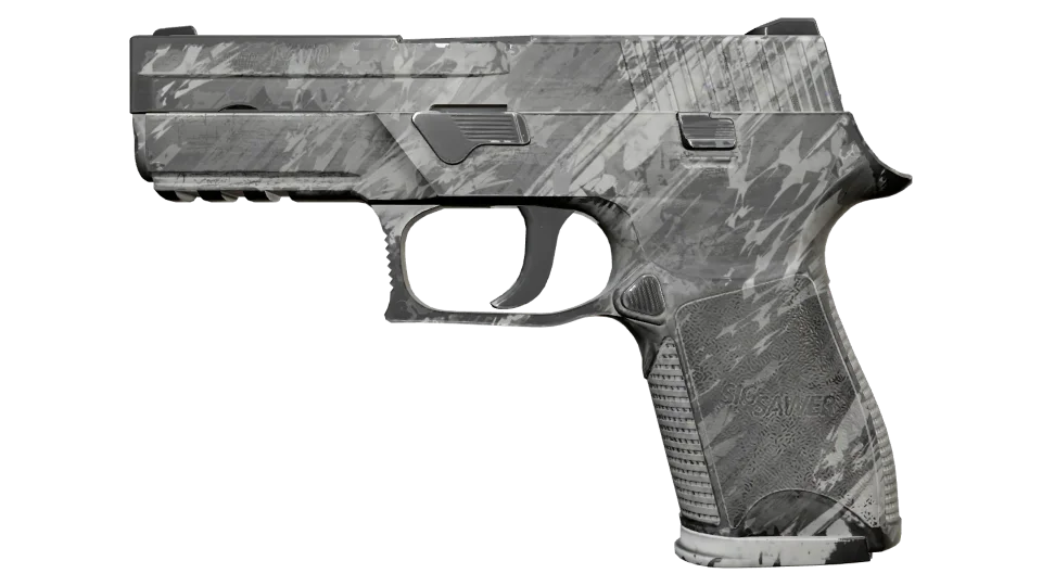 P250 | Sleet (Field-Tested)