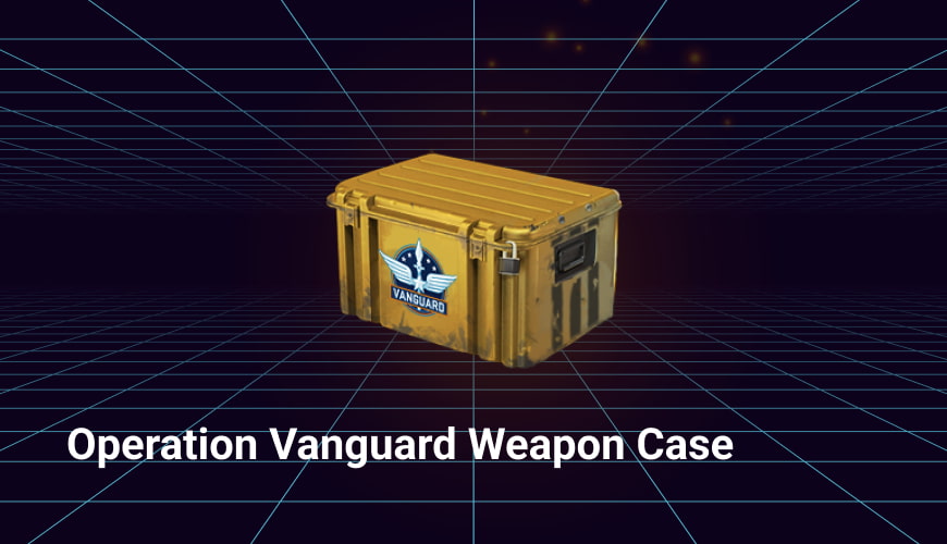 operation vanguard weapon case